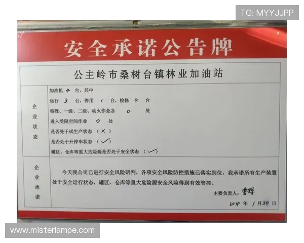 918博天堂中国区官网最新公告，全面解析平台安全保障措施