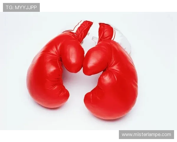 天堂体育装备指南,帮你选择最适合自己的运动器材