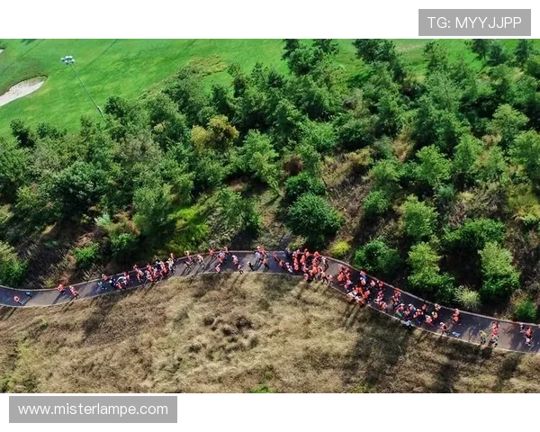 好博体育app官方网站在体育行业中的创新应用与发展前景分析